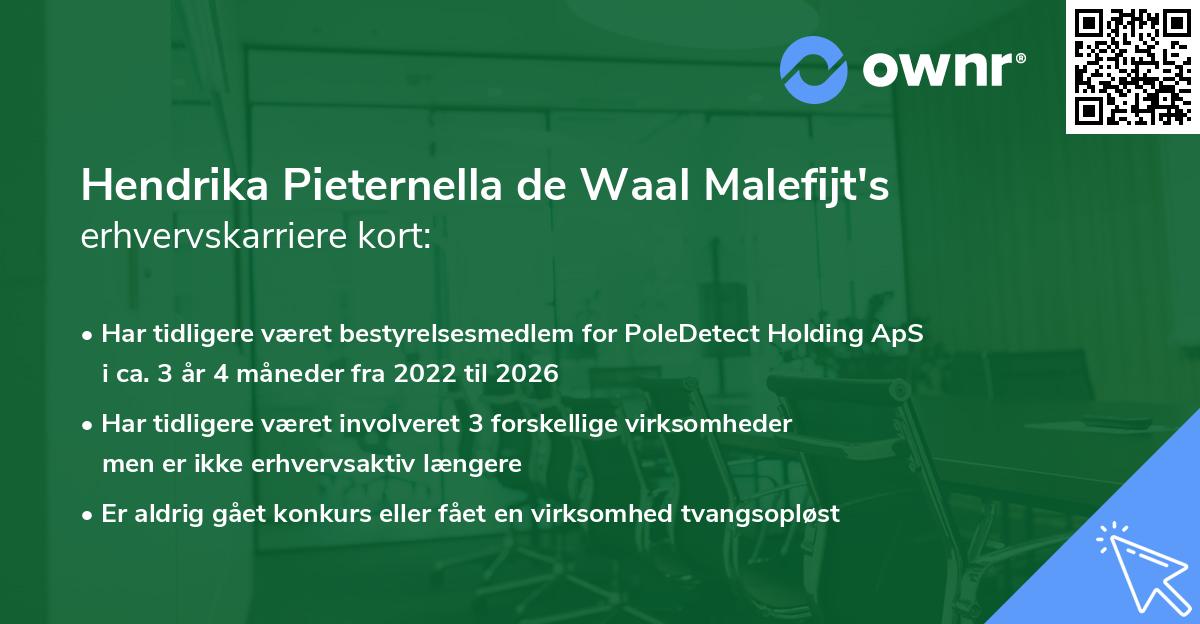 Hendrika Pieternella de Waal Malefijt's erhvervskarriere kort