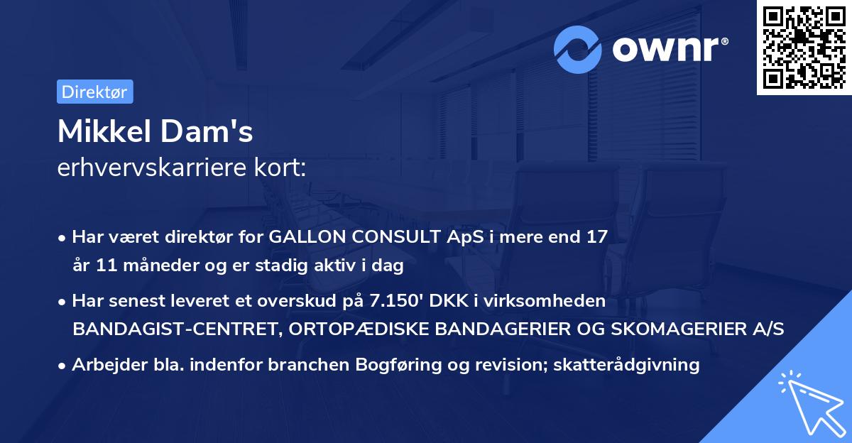 Mikkel Dam's erhvervskarriere kort
