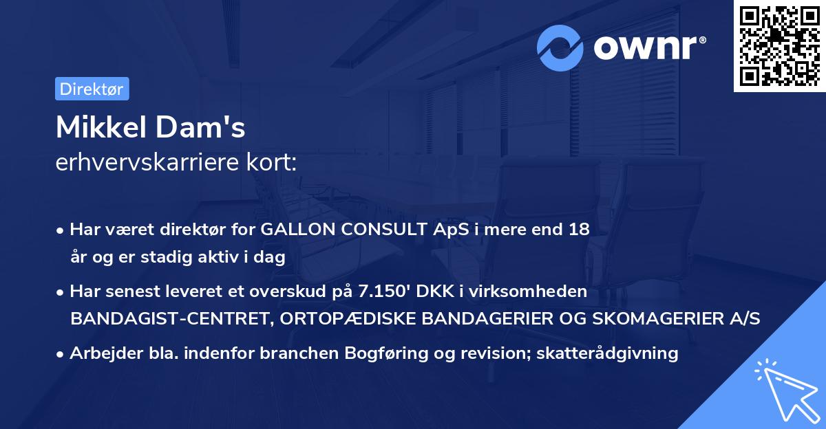 Mikkel Dam's erhvervskarriere kort