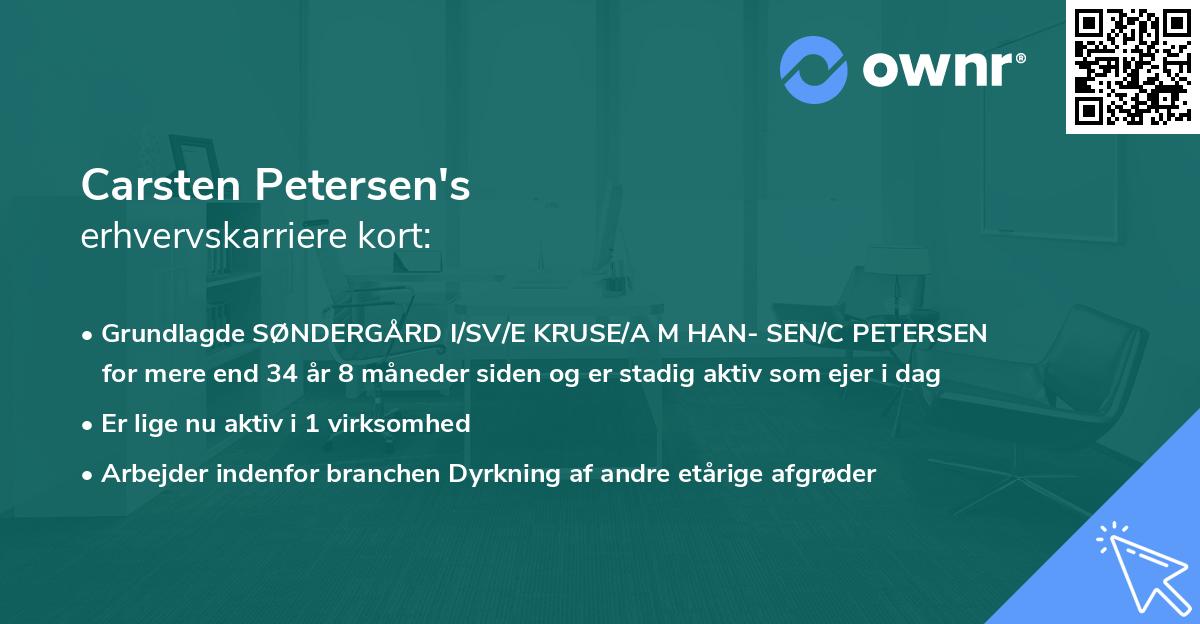 Carsten Petersen's erhvervskarriere kort