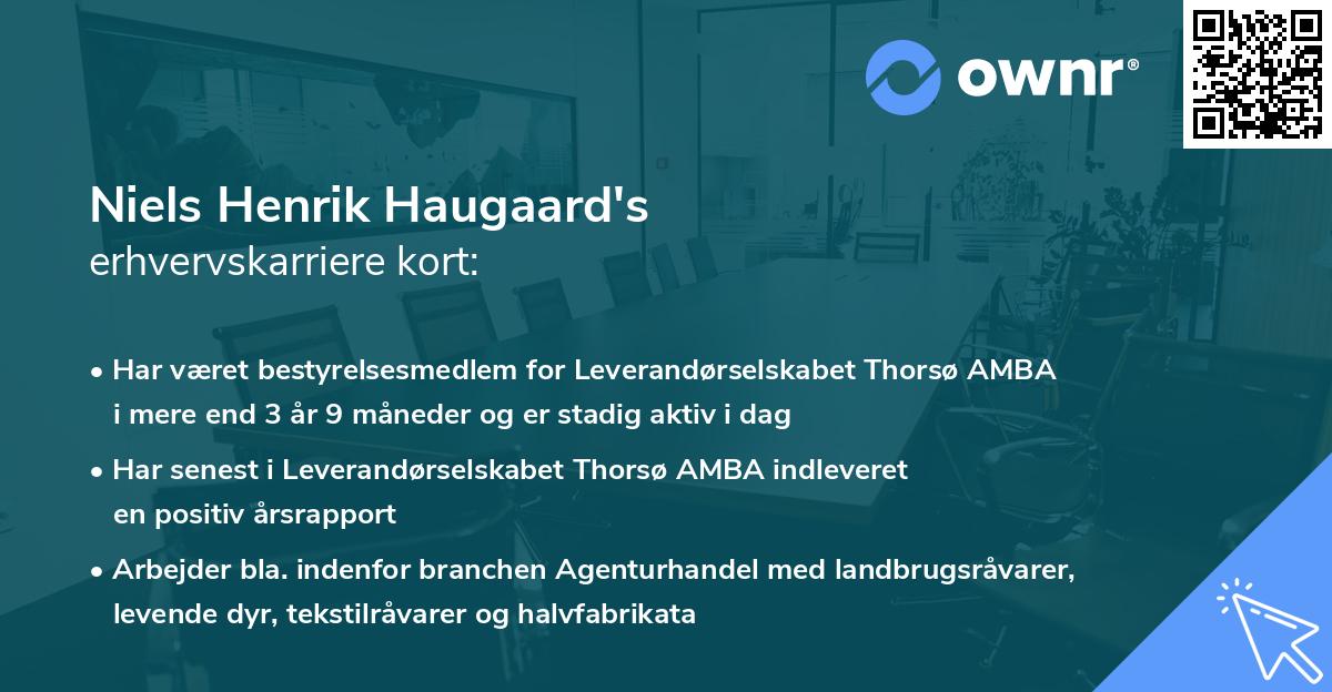 Niels Henrik Haugaard's erhvervskarriere kort
