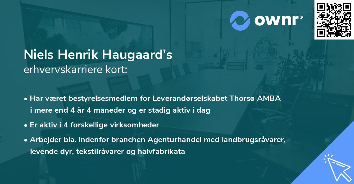 Niels Henrik Haugaard's erhvervskarriere kort