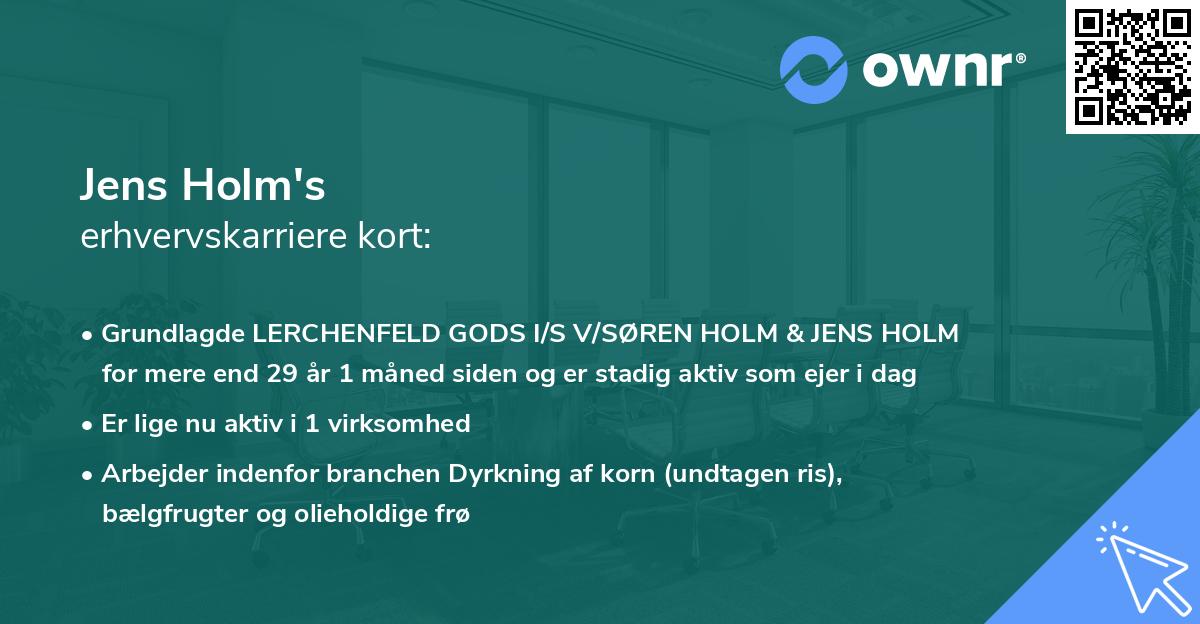 Jens Holm's erhvervskarriere kort
