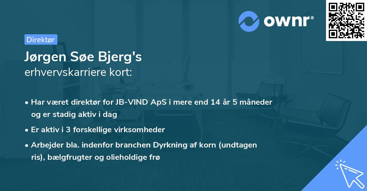 Jørgen Søe Bjerg's erhvervskarriere kort