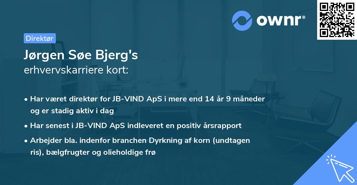Jørgen Søe Bjerg's erhvervskarriere kort