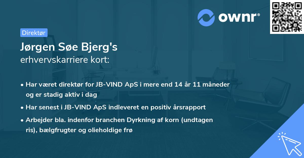 Jørgen Søe Bjerg's erhvervskarriere kort