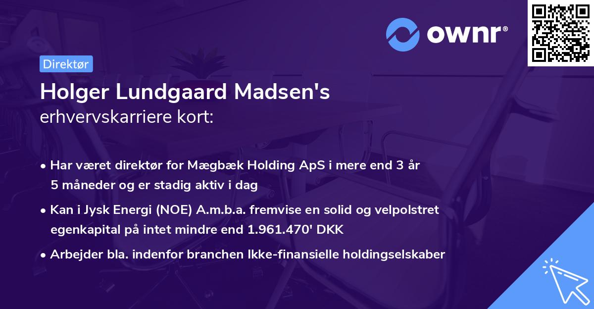 Holger Lundgaard Madsen's erhvervskarriere kort