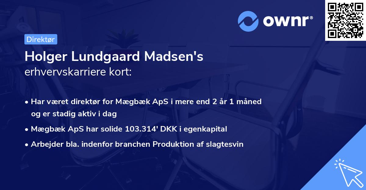 Holger Lundgaard Madsen's erhvervskarriere kort