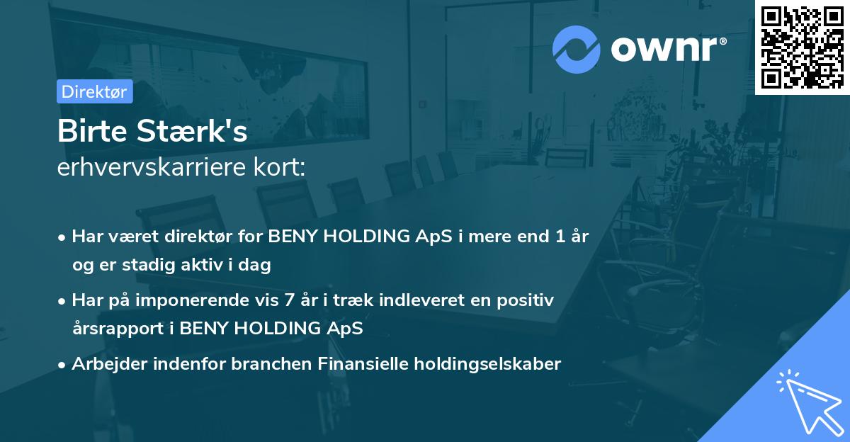 Birte Stærk's erhvervskarriere kort