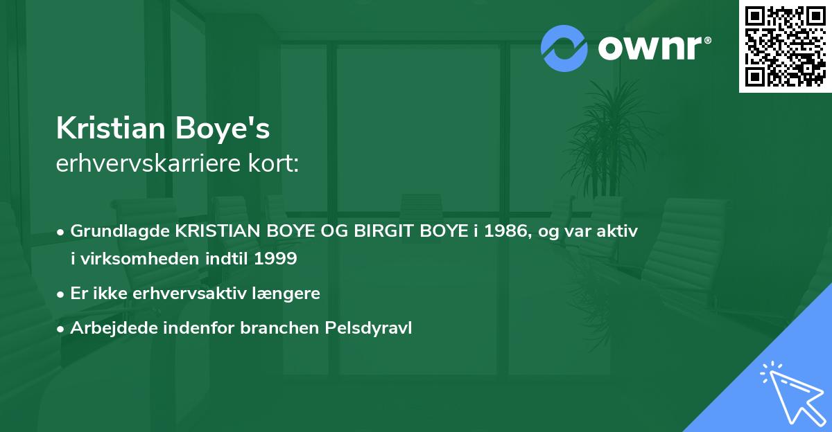 Kristian Boye's erhvervskarriere kort