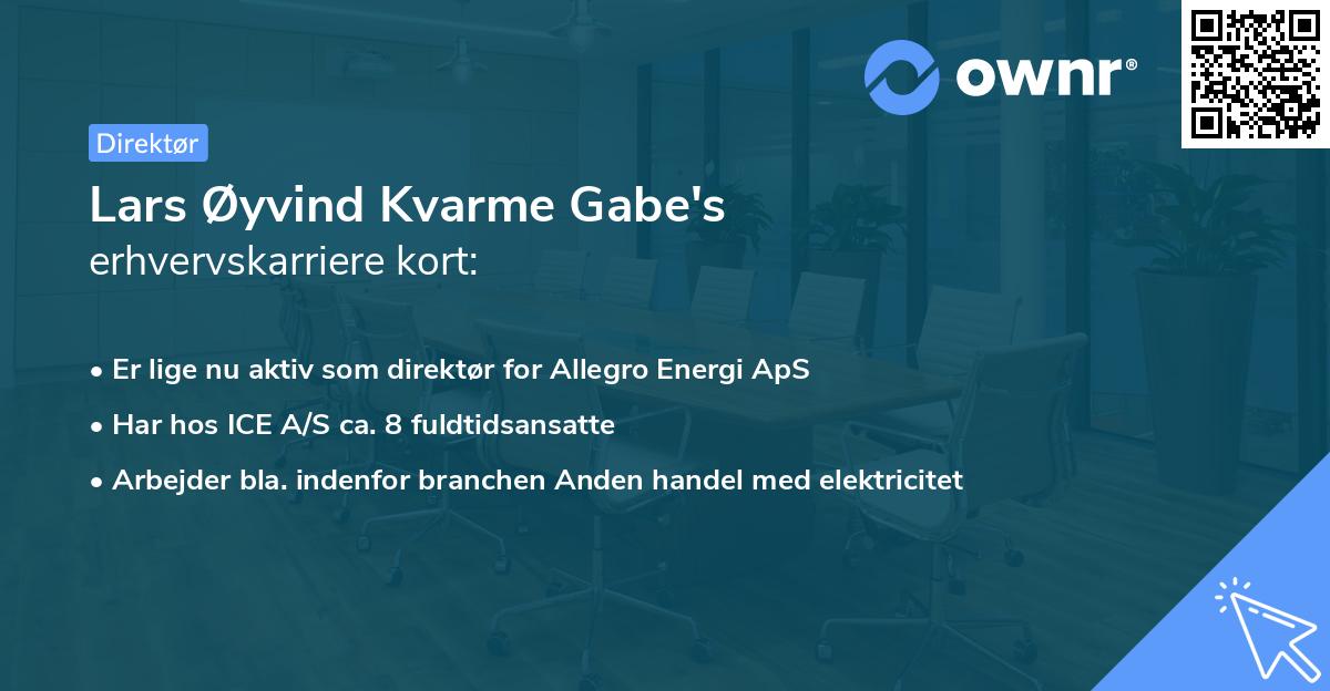 Lars Øyvind Kvarme Gabe's erhvervskarriere kort