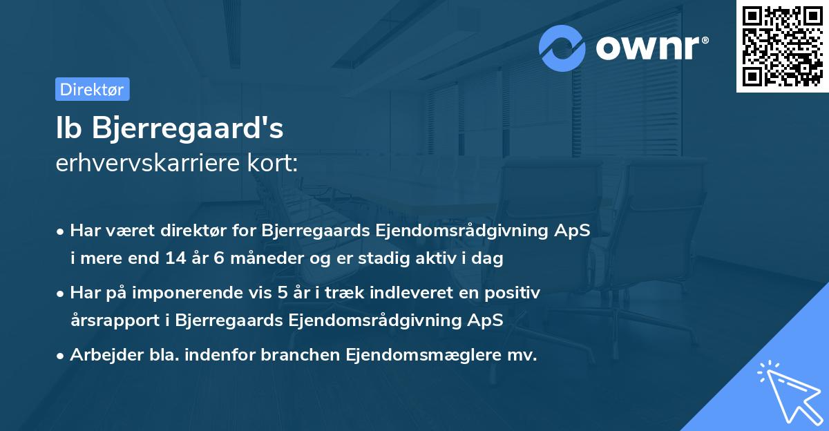 Ib Bjerregaard's erhvervskarriere kort