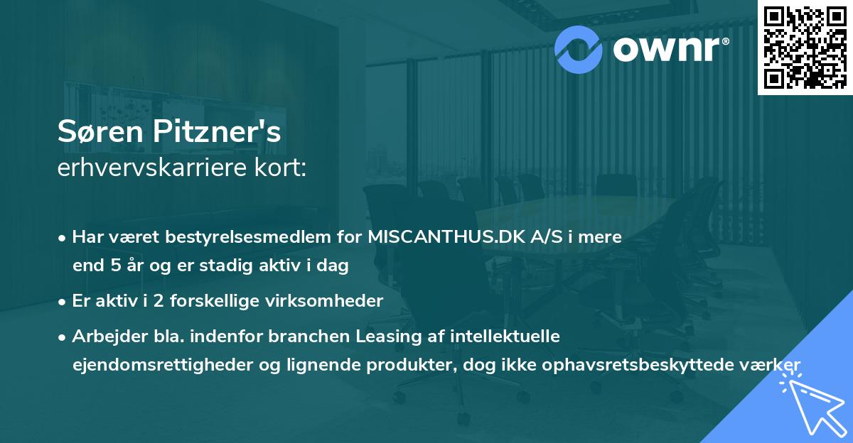 Søren Pitzner's erhvervskarriere kort
