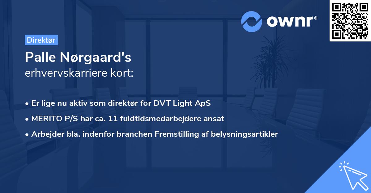 Palle Nørgaard's erhvervskarriere kort