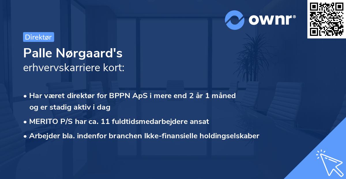 Palle Nørgaard's erhvervskarriere kort