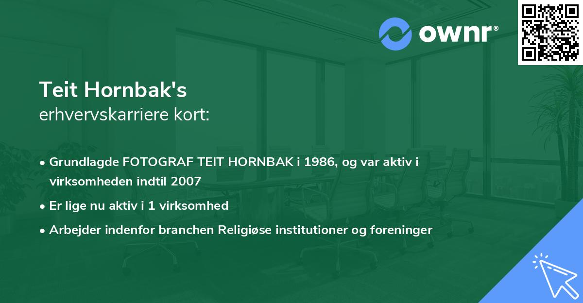 Teit Hornbak's erhvervskarriere kort