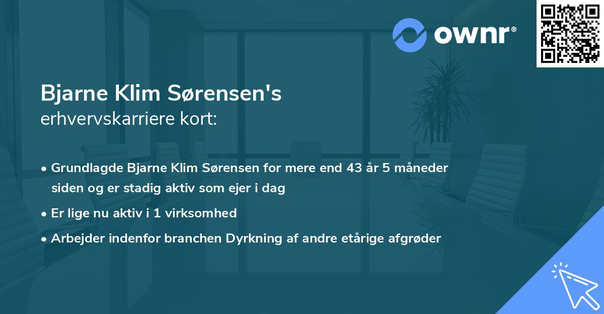 Bjarne Klim Sørensen's erhvervskarriere kort