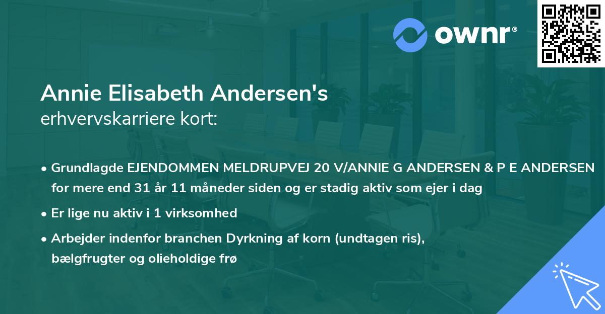 Annie Elisabeth Andersen's erhvervskarriere kort