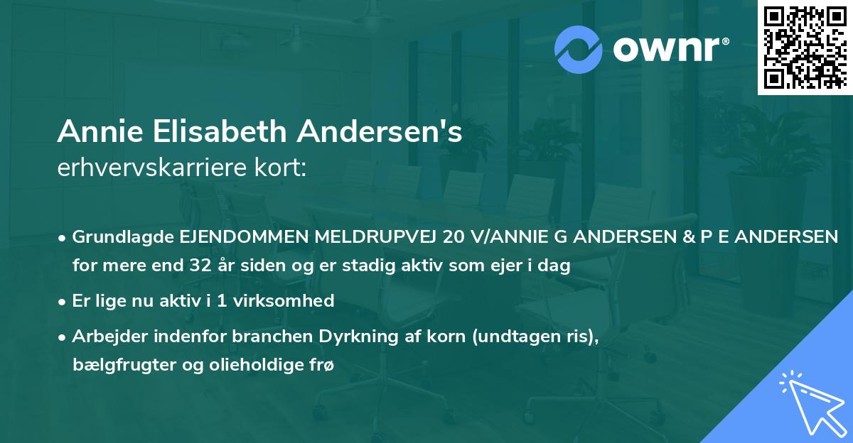 Annie Elisabeth Andersen's erhvervskarriere kort