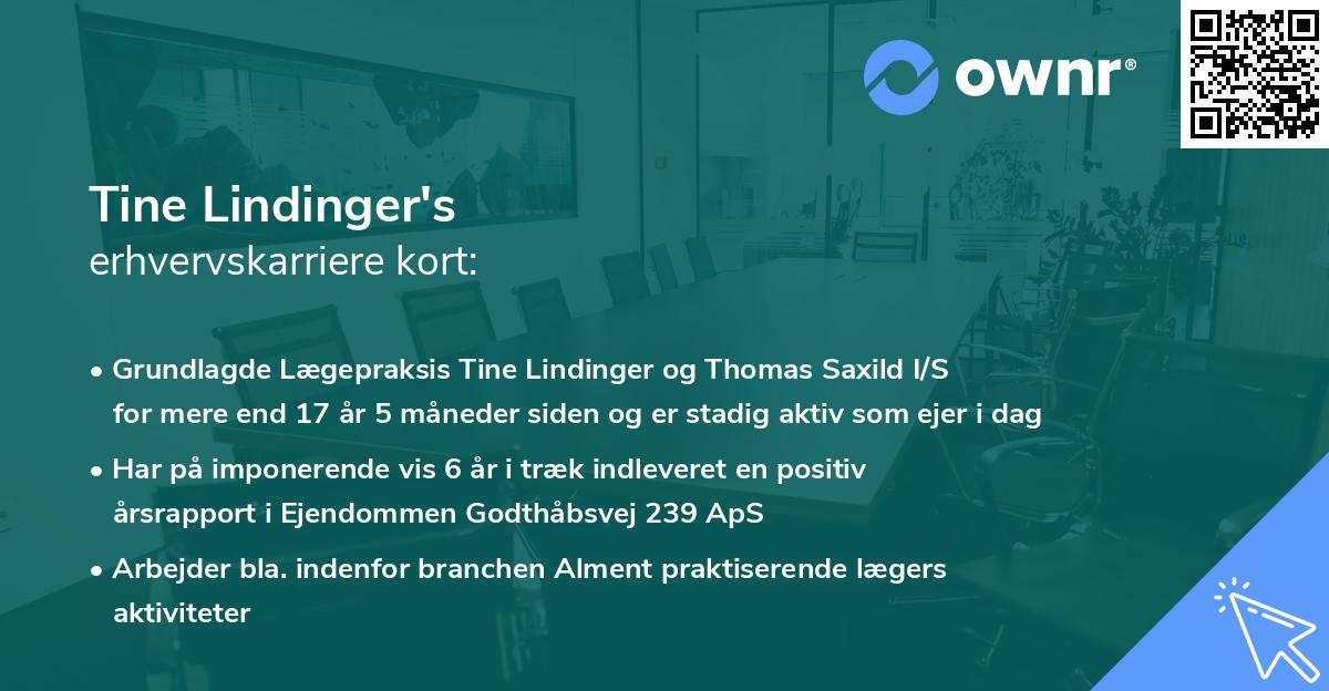 Tine Lindinger's erhvervskarriere kort