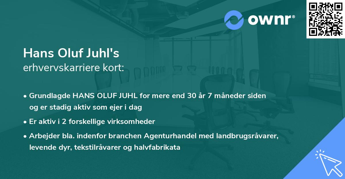 Hans Oluf Juhl's erhvervskarriere kort