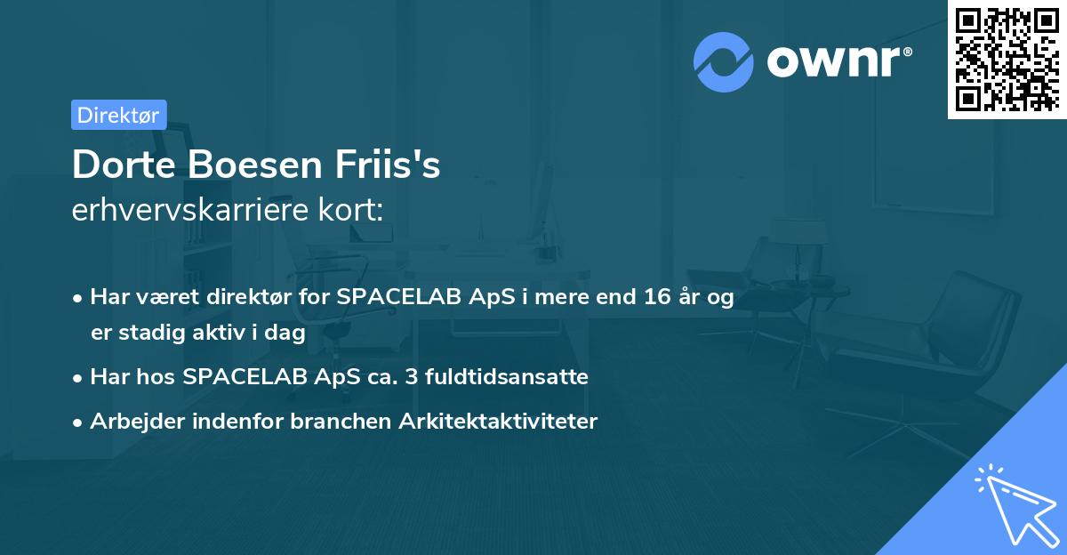Dorte Boesen Friis's erhvervskarriere kort
