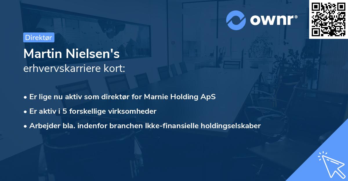 Martin Nielsen's erhvervskarriere kort