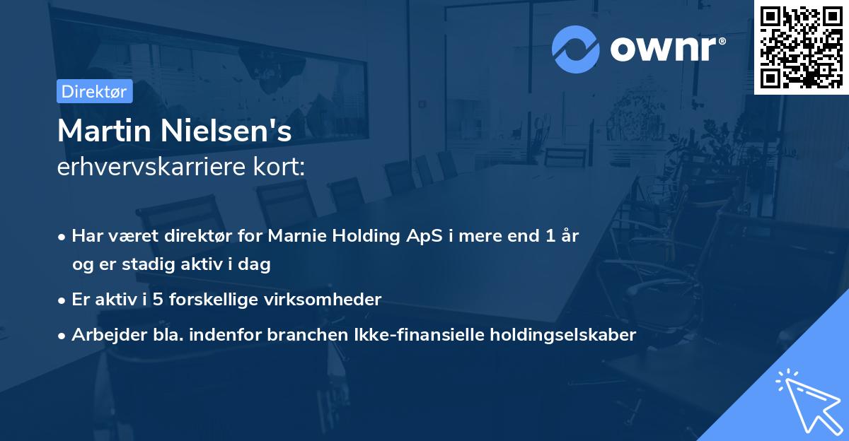 Martin Nielsen's erhvervskarriere kort