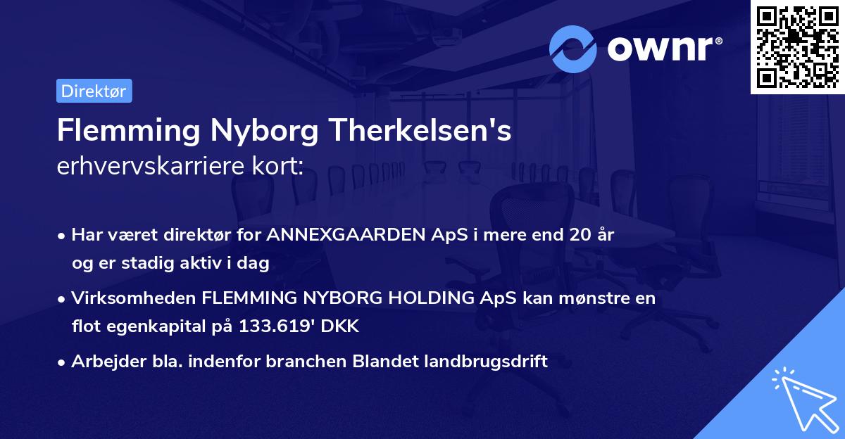 Flemming Nyborg Therkelsen's erhvervskarriere kort