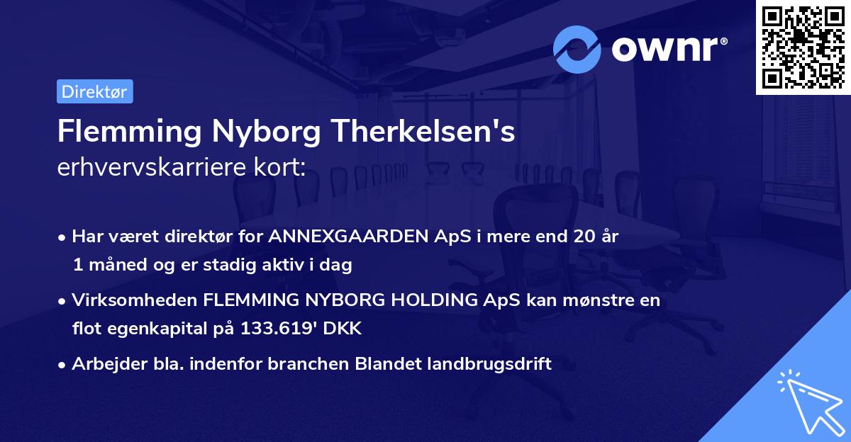 Flemming Nyborg Therkelsen's erhvervskarriere kort
