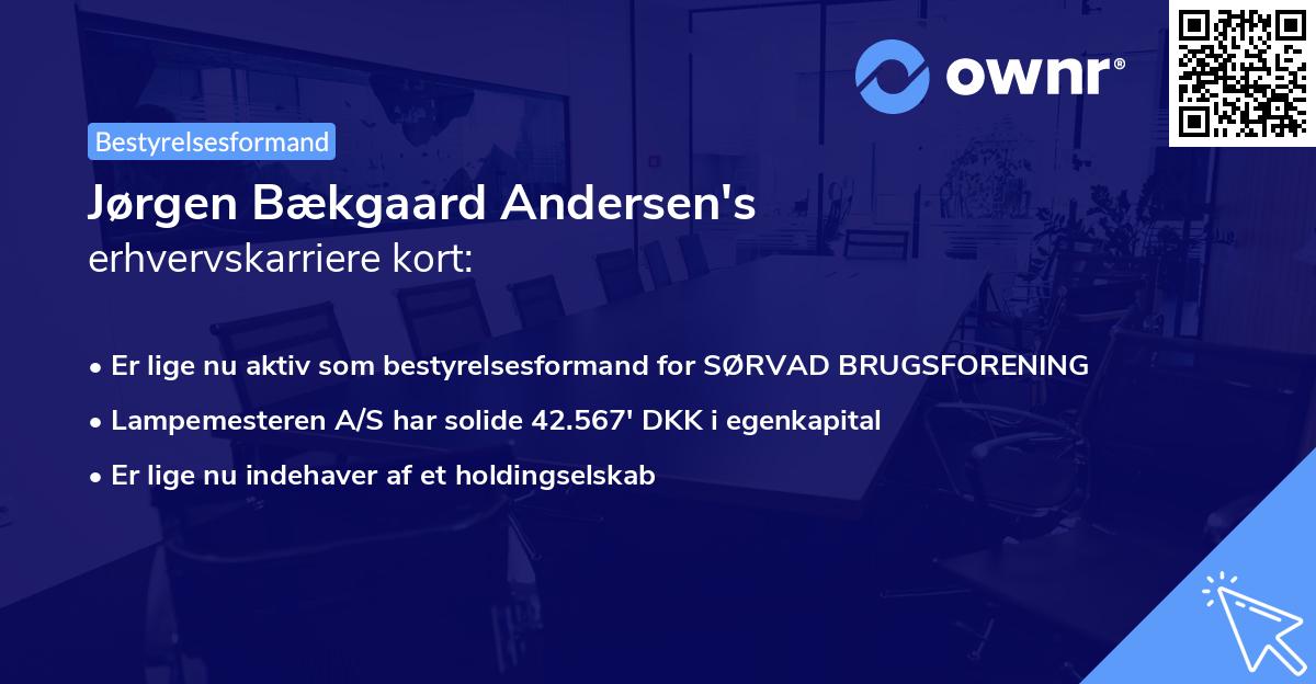 Jørgen Bækgaard Andersen's erhvervskarriere kort