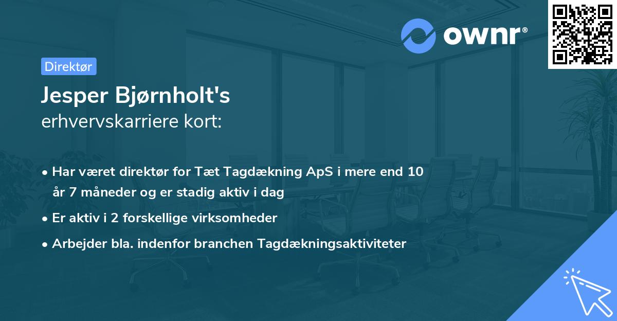 Jesper Bjørnholt's erhvervskarriere kort