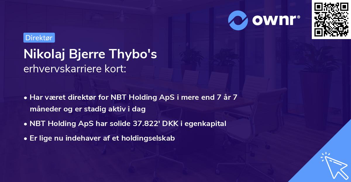 Nikolaj Bjerre Thybo's erhvervskarriere kort