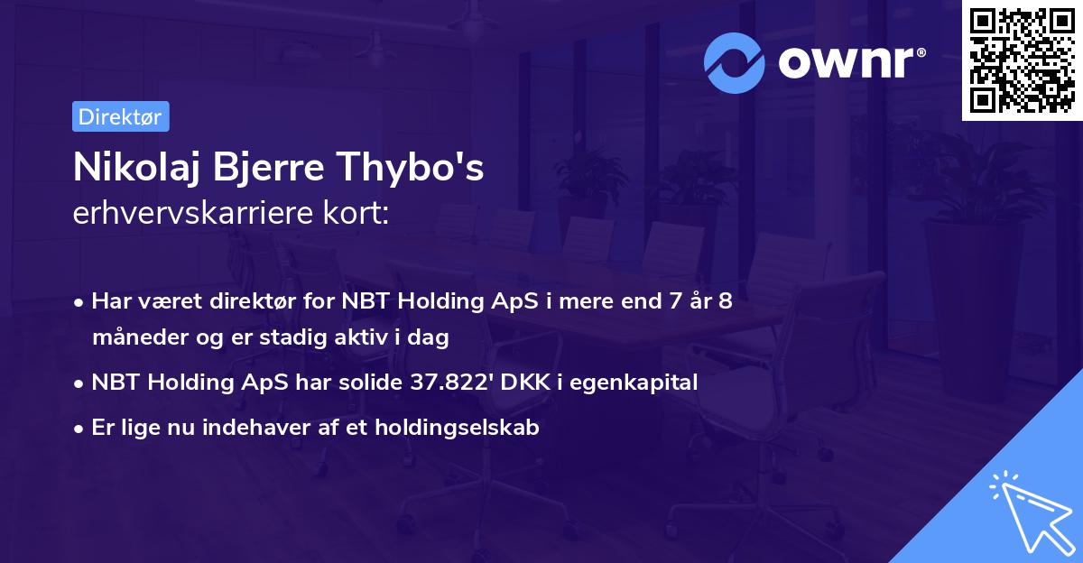 Nikolaj Bjerre Thybo's erhvervskarriere kort