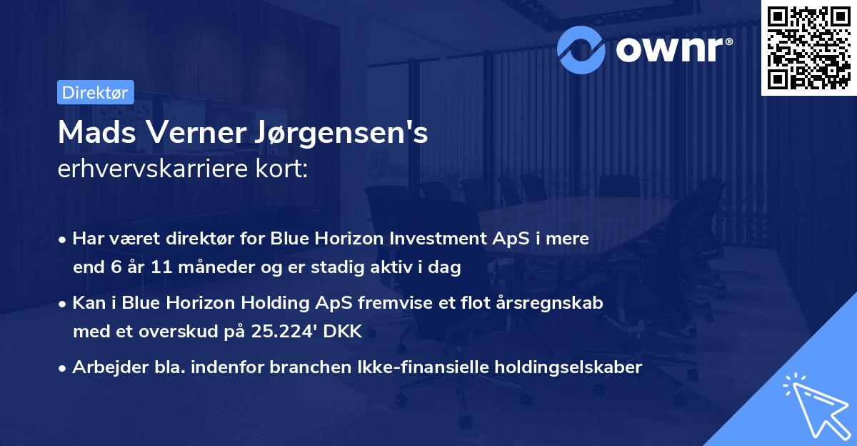 Mads Verner Jørgensen's erhvervskarriere kort