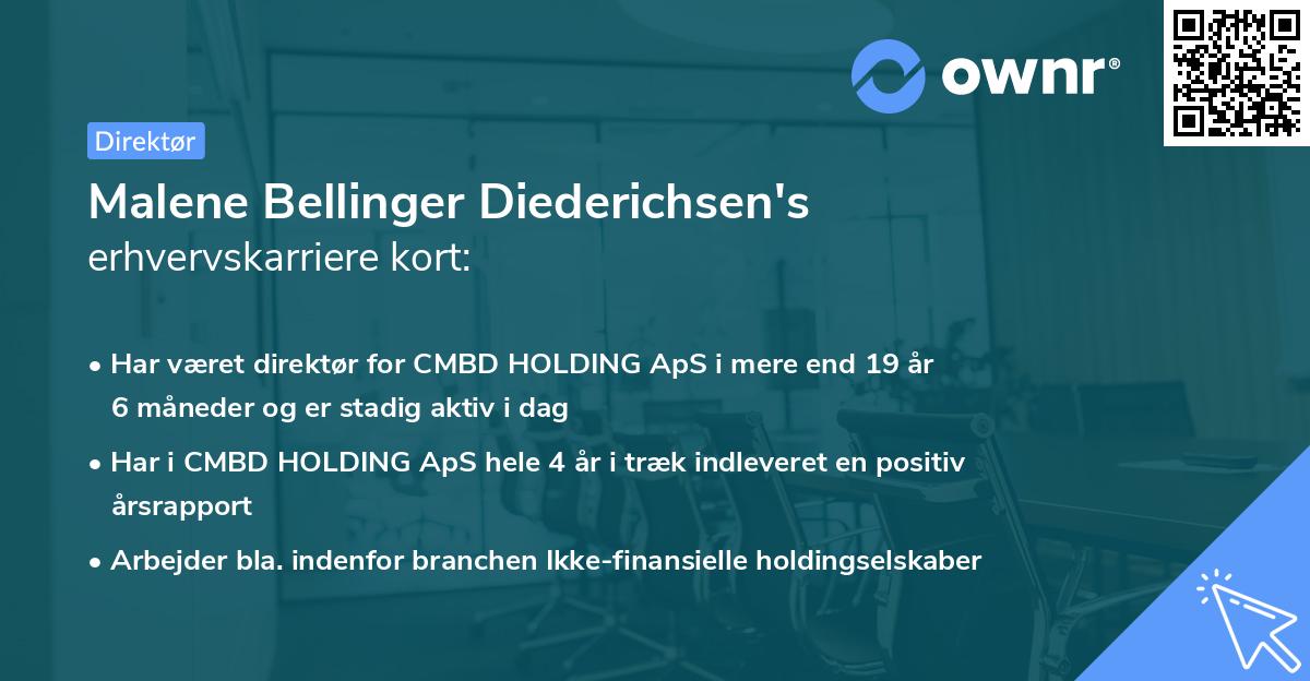 Malene Bellinger Diederichsen's erhvervskarriere kort