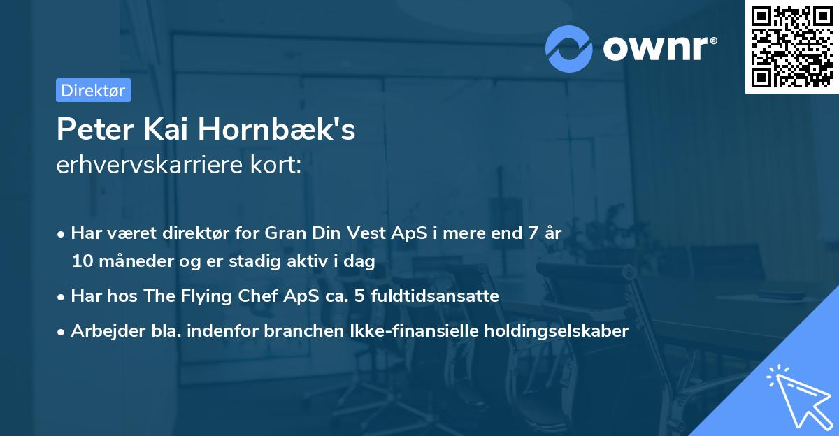 Peter Kai Hornbæk's erhvervskarriere kort