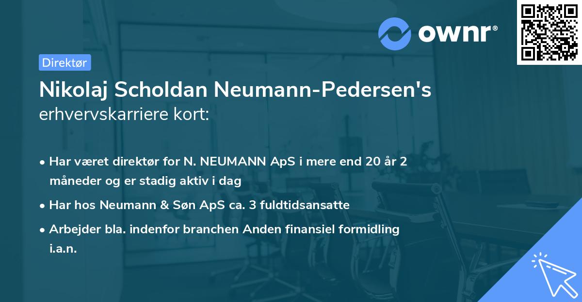 Nikolaj Scholdan Neumann-Pedersen's erhvervskarriere kort