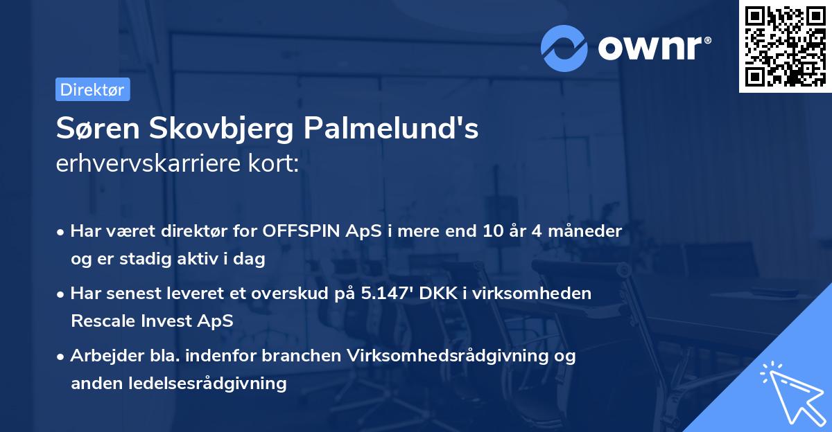 Søren Skovbjerg Palmelund's erhvervskarriere kort