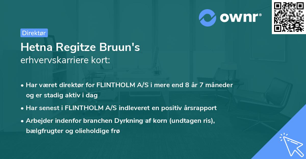 Hetna Regitze Bruun's erhvervskarriere kort