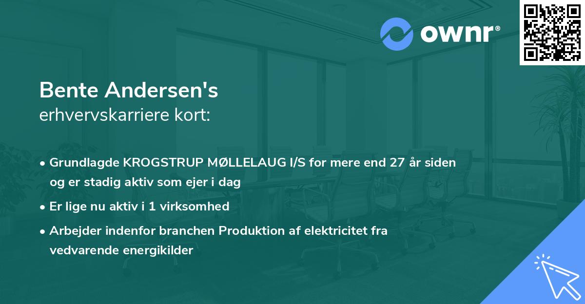 Bente Andersen's erhvervskarriere kort