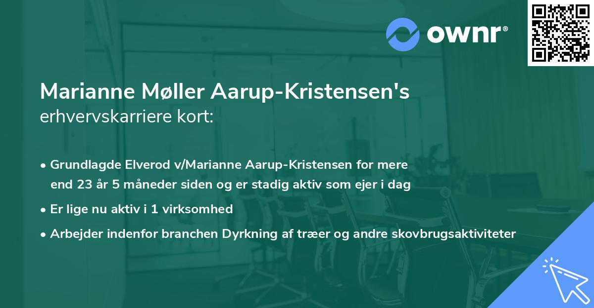 Marianne Møller Aarup-Kristensen's erhvervskarriere kort
