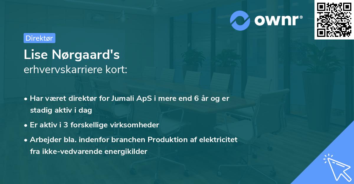 Lise Nørgaard's erhvervskarriere kort