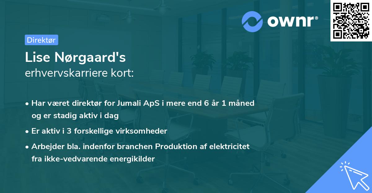 Lise Nørgaard's erhvervskarriere kort