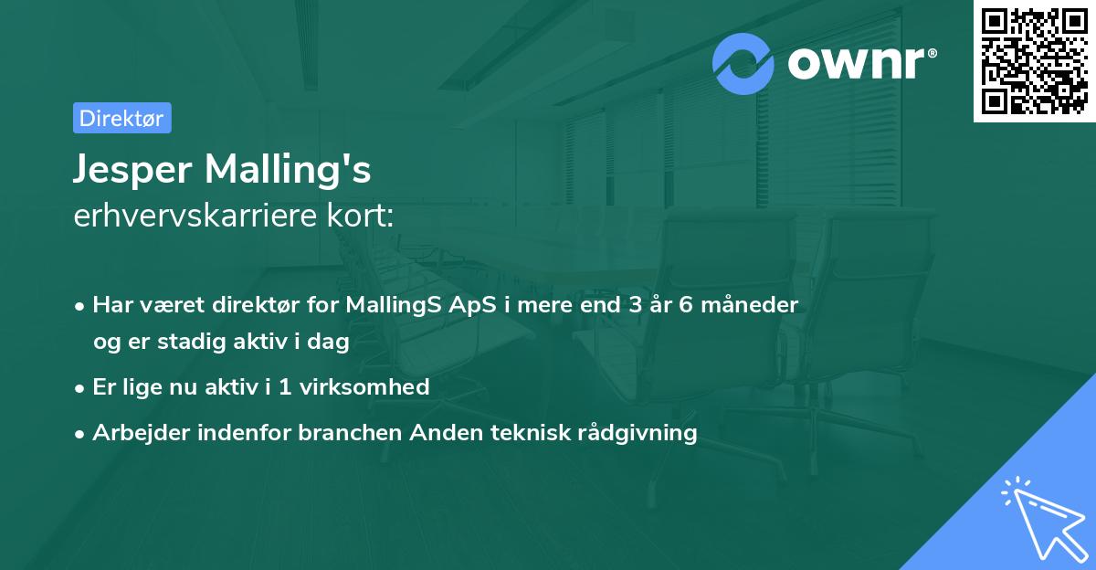 Jesper Malling's erhvervskarriere kort