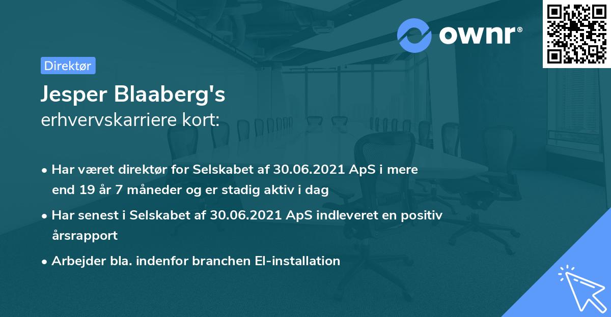 Jesper Blaaberg's erhvervskarriere kort