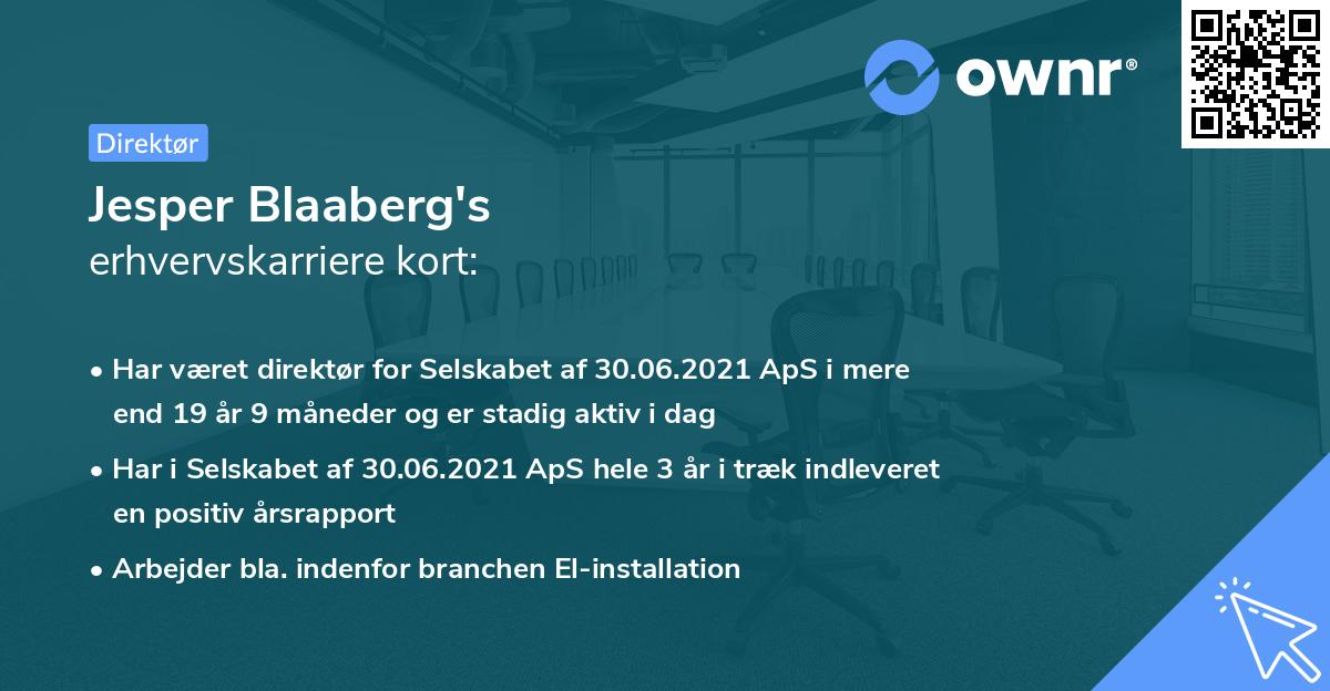 Jesper Blaaberg's erhvervskarriere kort