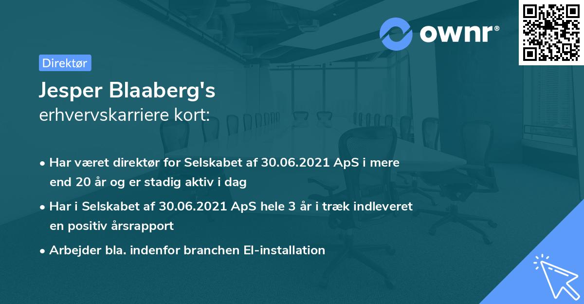 Jesper Blaaberg's erhvervskarriere kort