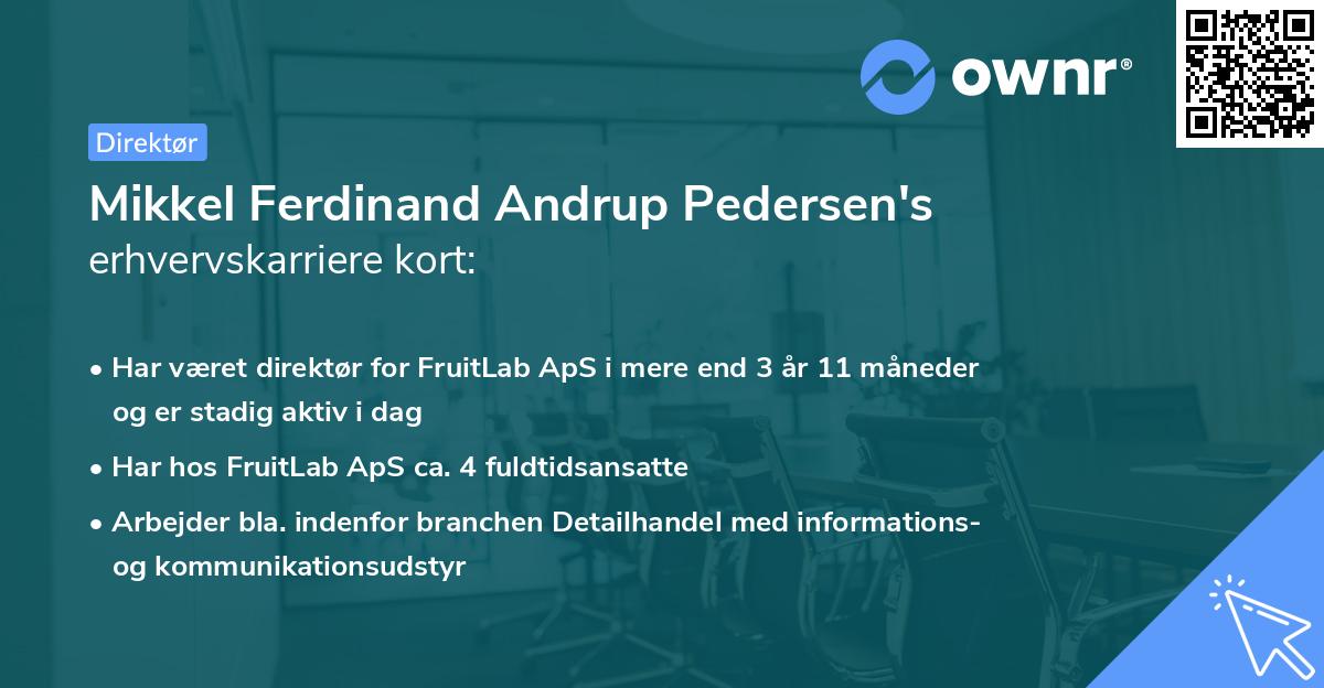 Mikkel Ferdinand Andrup Pedersen's erhvervskarriere kort