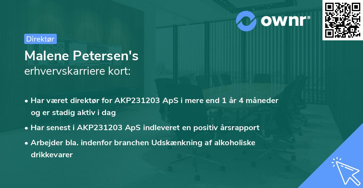 Malene Petersen's erhvervskarriere kort